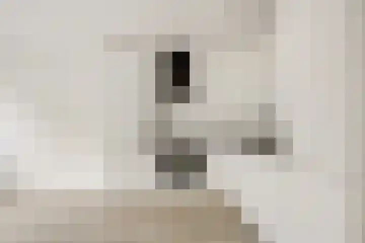 Illegaliteitsweg 51 A Amersfoort thumbnail 8