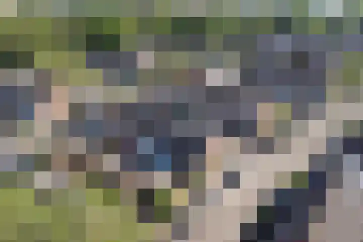Illegaliteitsweg 51 B Amersfoort thumbnail 23