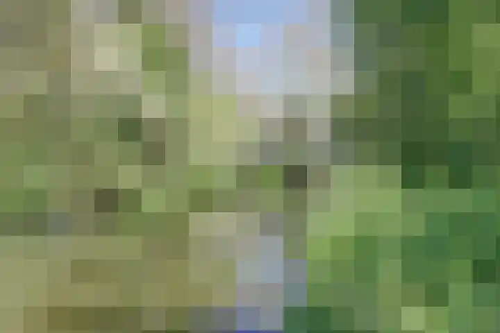 Illegaliteitsweg 51 B Amersfoort thumbnail 28