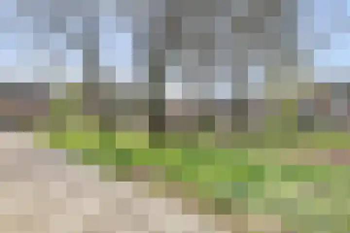 Illegaliteitsweg 51 B Amersfoort thumbnail 29