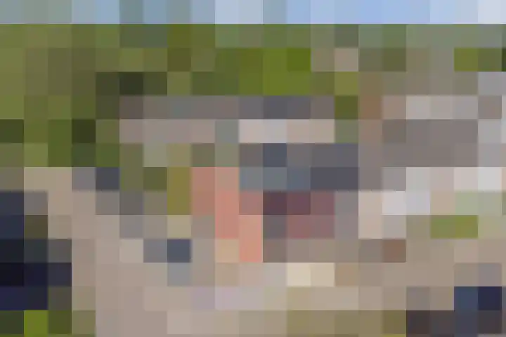Illegaliteitsweg 51 B Amersfoort thumbnail 33