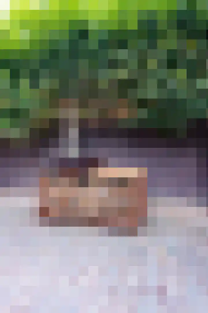 Illikhoven 5 Roosteren thumbnail 13