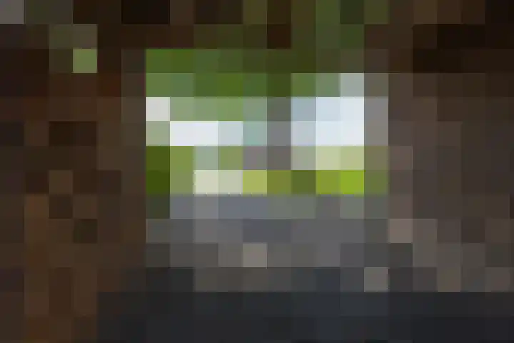 Illikhoven 5 Roosteren thumbnail 14