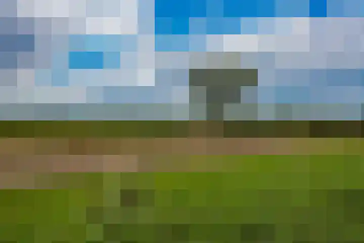 Illikhoven 5 Roosteren thumbnail 19