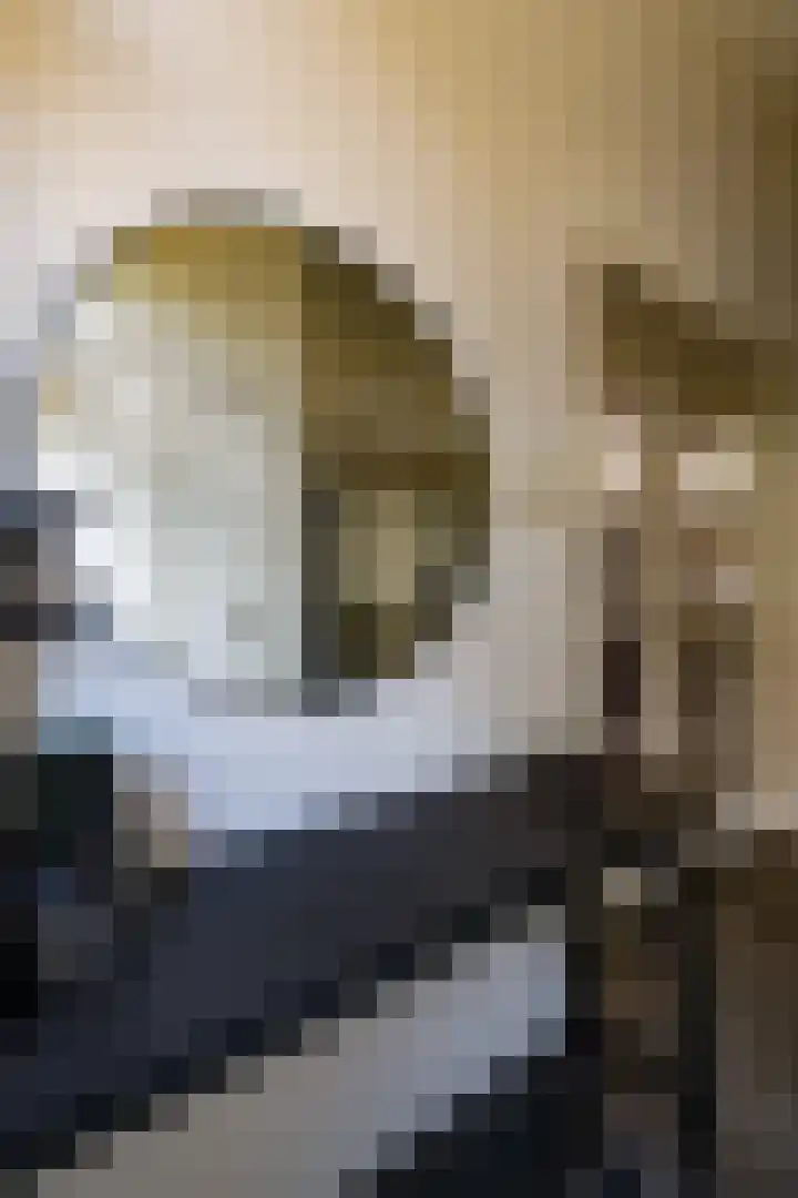Illikhoven 5 Roosteren thumbnail 38