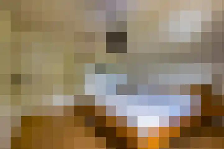 Illikhoven 5 Roosteren thumbnail 40