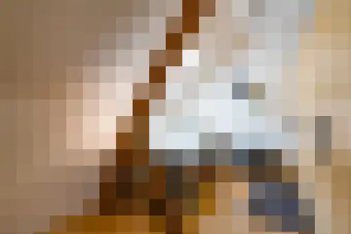 Illikhoven 5 Roosteren thumbnail 42