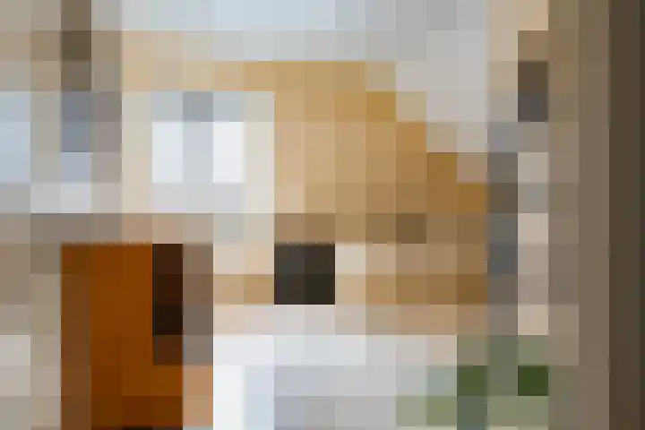 Illikhoven 5 Roosteren thumbnail 43