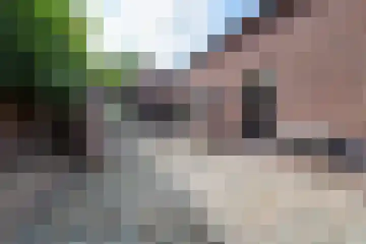 Illikhoven 5 Roosteren thumbnail 5