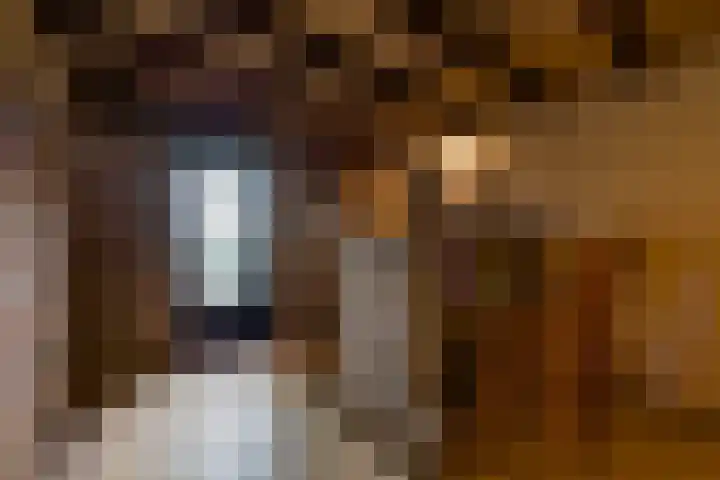 Illikhoven 5 Roosteren thumbnail 52