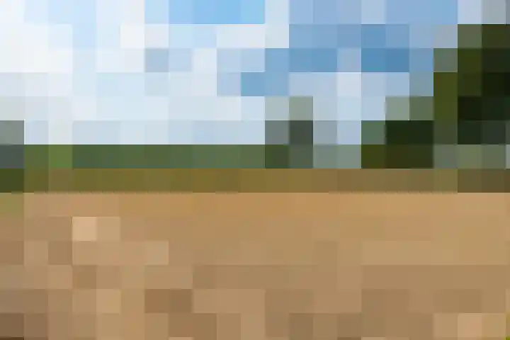 Illikhoven 5 Roosteren thumbnail 56