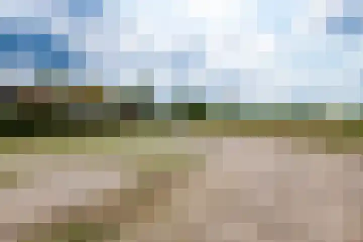 Illikhoven 5 Roosteren thumbnail 57