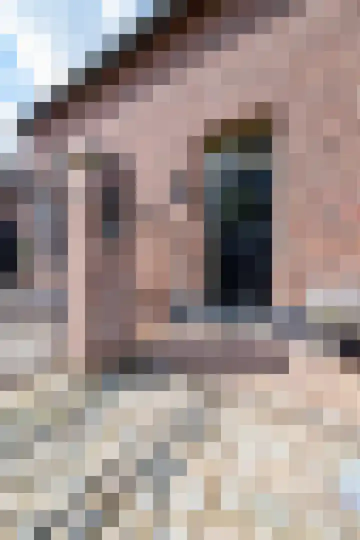 Illikhoven 5 Roosteren thumbnail 7