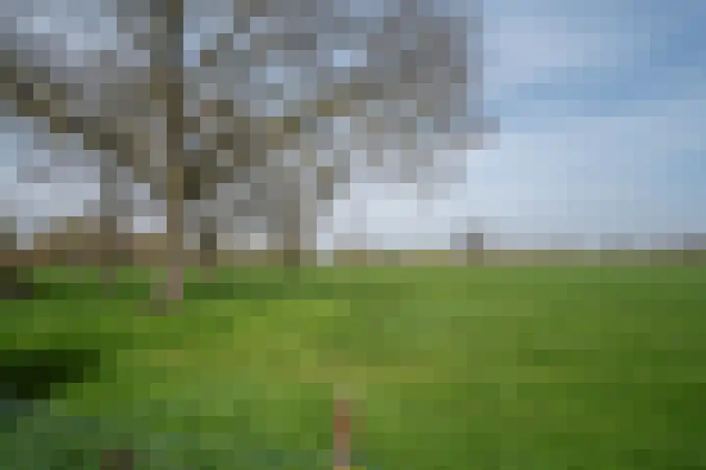 Illikhoven 79 Roosteren thumbnail 28