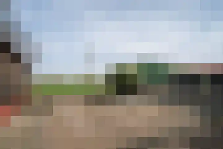 Illikhoven 79 Roosteren thumbnail 34