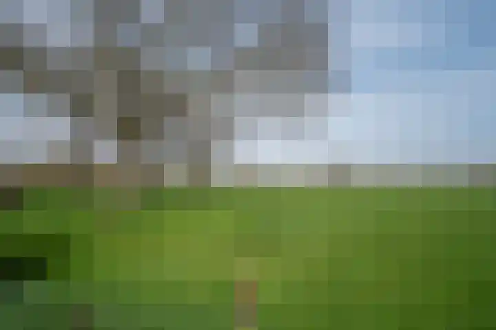 Illikhoven 79 Roosteren thumbnail 36