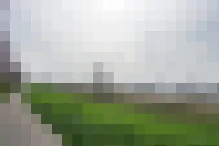 Illikhoven 79 Roosteren thumbnail 48