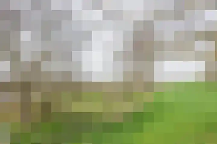 Illikhoven 79 Roosteren thumbnail 49