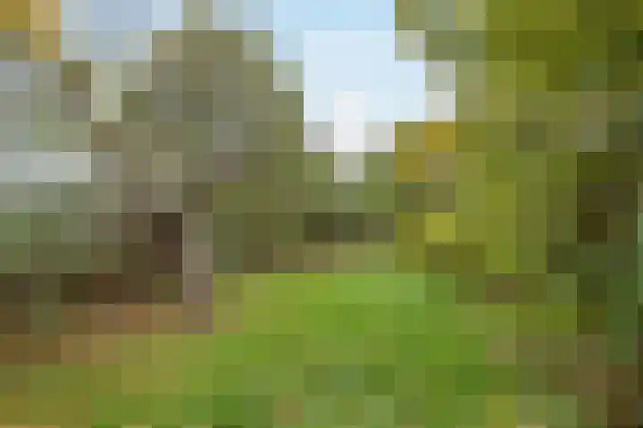 Illikhoven 93 Roosteren thumbnail 56