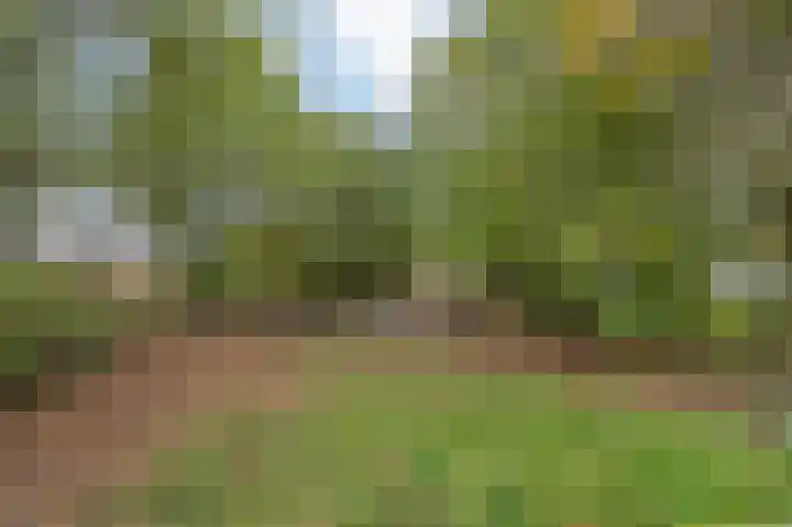 Illikhoven 93 Roosteren thumbnail 57