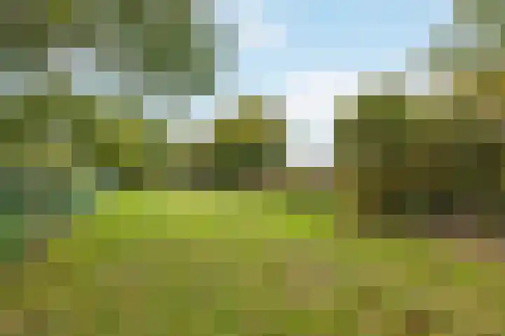 Illikhoven 93 Roosteren thumbnail 59