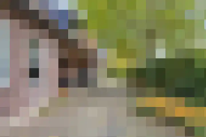 Illikhoven 93 Roosteren thumbnail 67