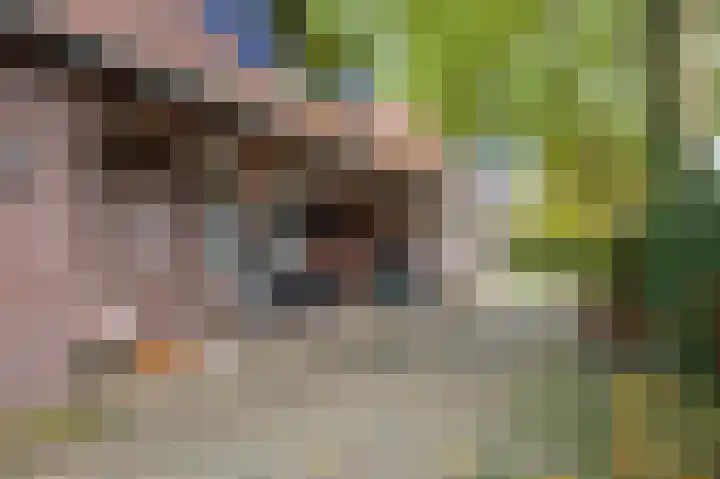 Illikhoven 93 Roosteren thumbnail 68