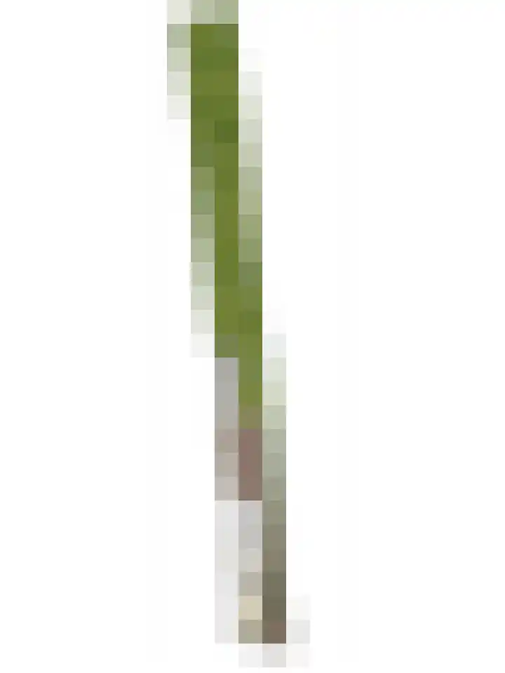 Illikhoven 93 Roosteren thumbnail 72