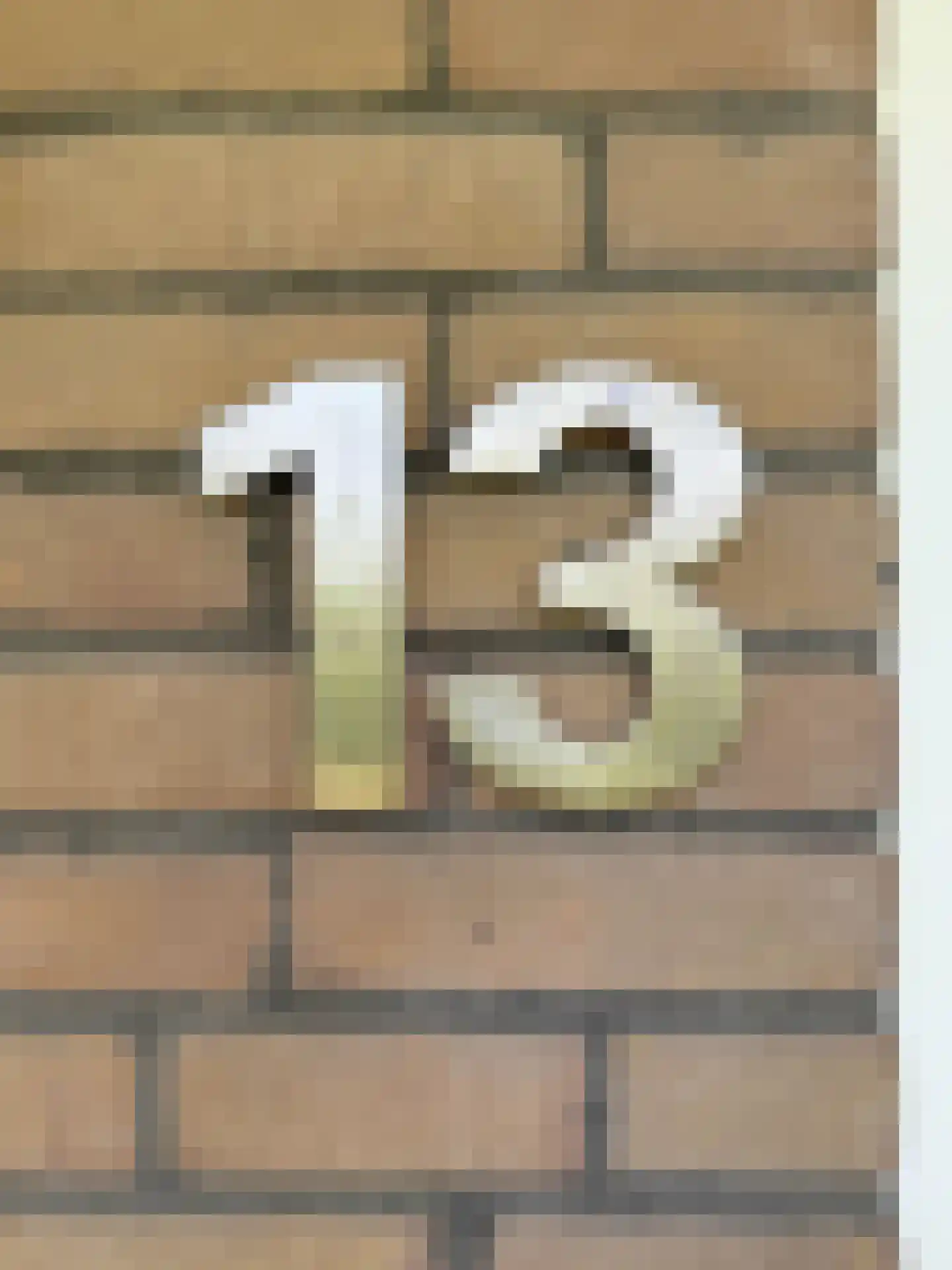 Ilp 13 Bergen (NH) thumbnail 34