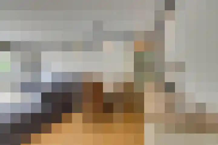 Ilpendamstraat 19 Purmerend thumbnail 11