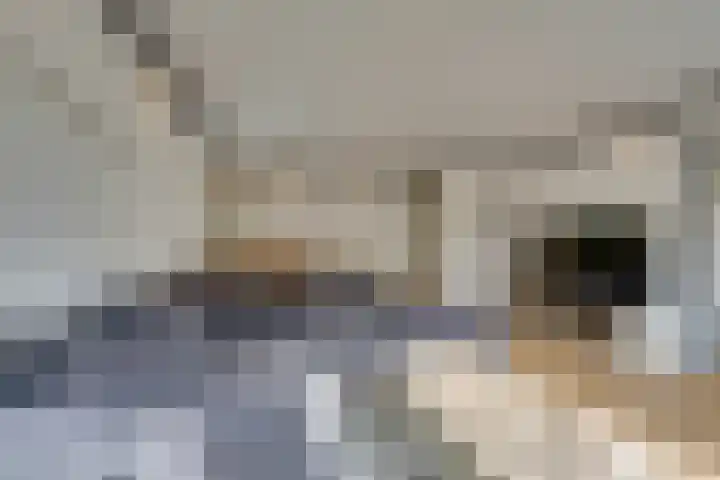 Ilpendamstraat 19 Purmerend thumbnail 20