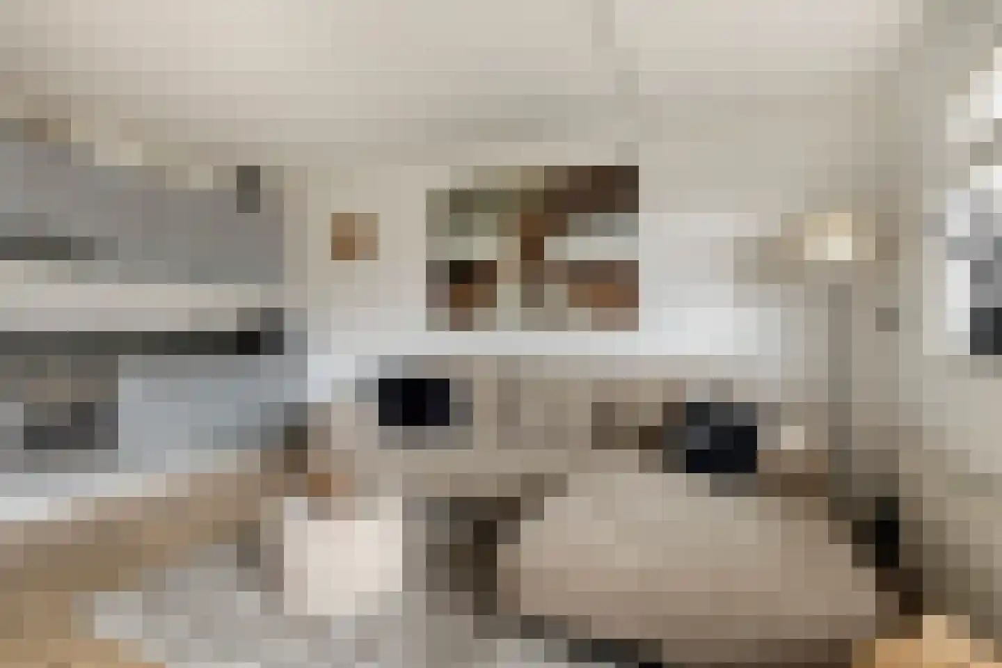 Ilpendamstraat 22 Purmerend thumbnail 12