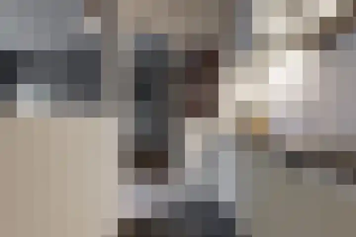 Ilpendamstraat 3 Purmerend thumbnail 11