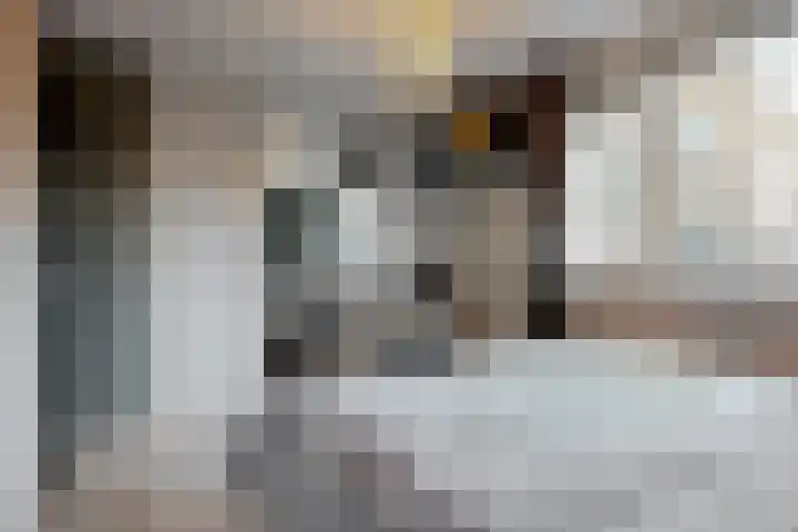 Ilpendamstraat 3 Purmerend thumbnail 17