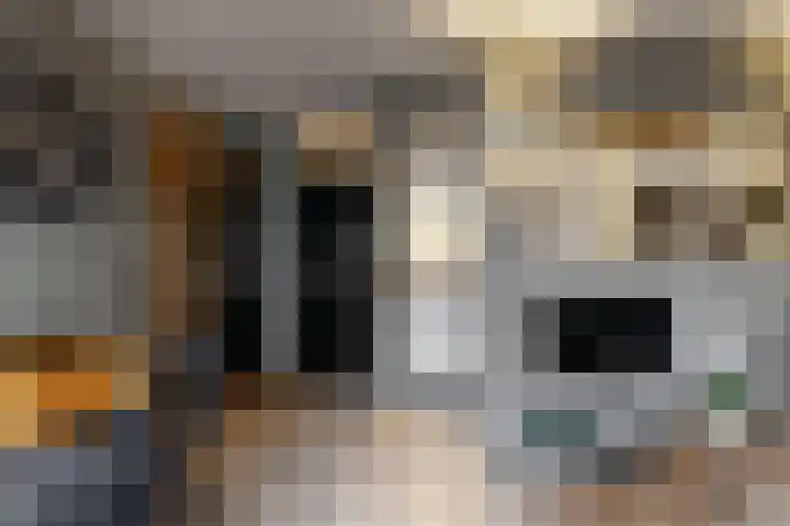 Ilpendamstraat 3 Purmerend thumbnail 6