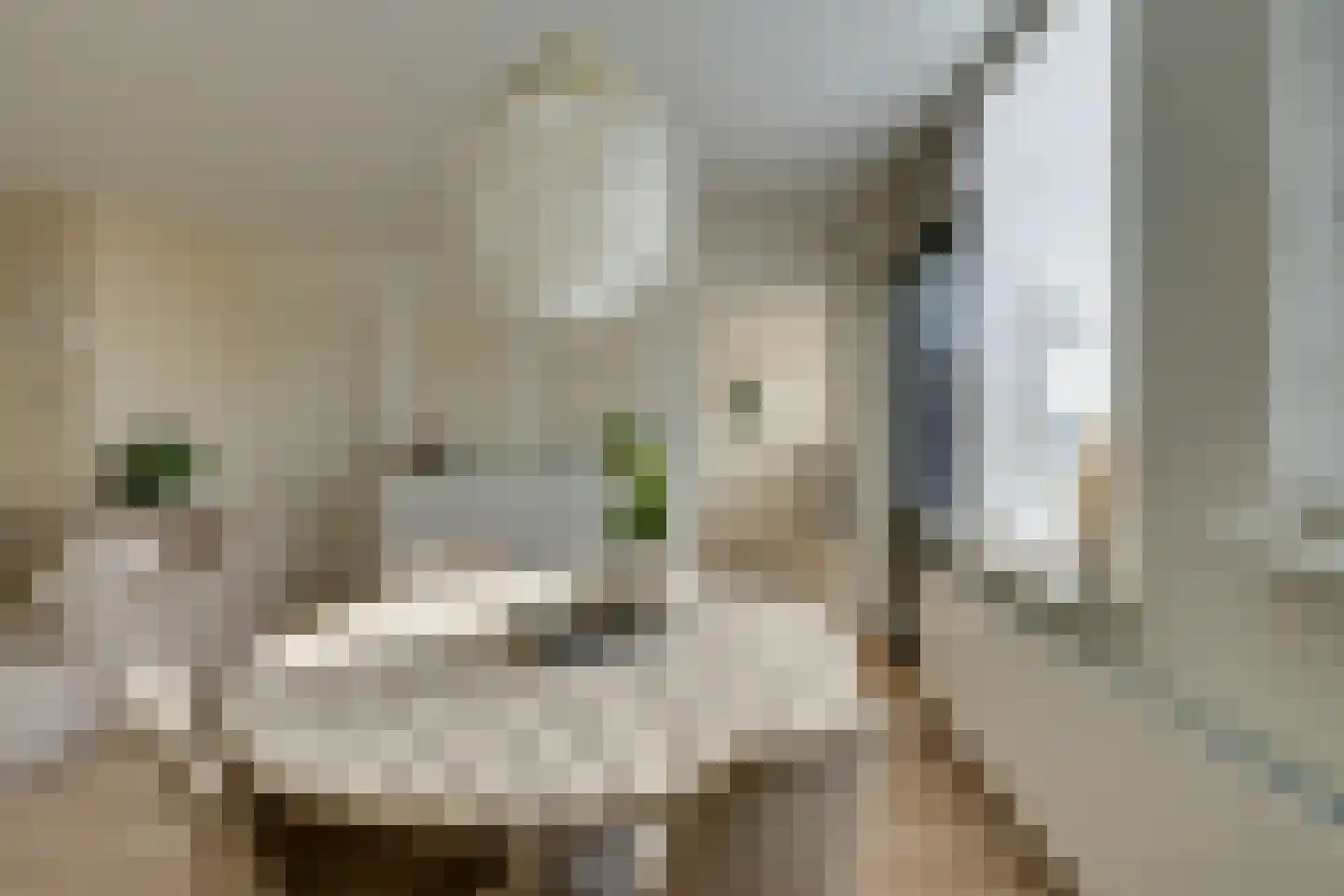 Ilpendamstraat 93 Purmerend thumbnail 15