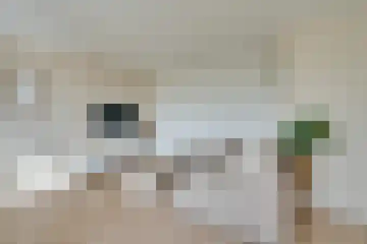 Ilpendamstraat 93 Purmerend thumbnail 8