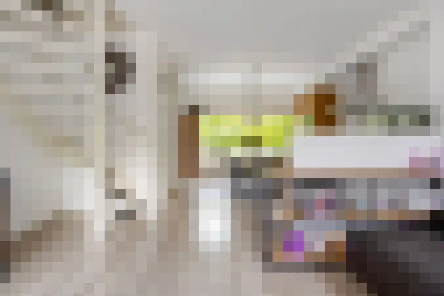 Ilpenstein 28 Landsmeer thumbnail 12