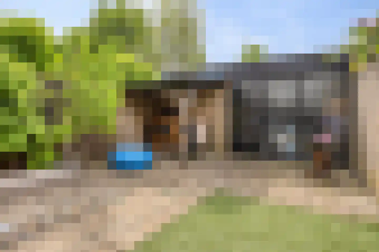 Ilpenstein 28 Landsmeer thumbnail 17