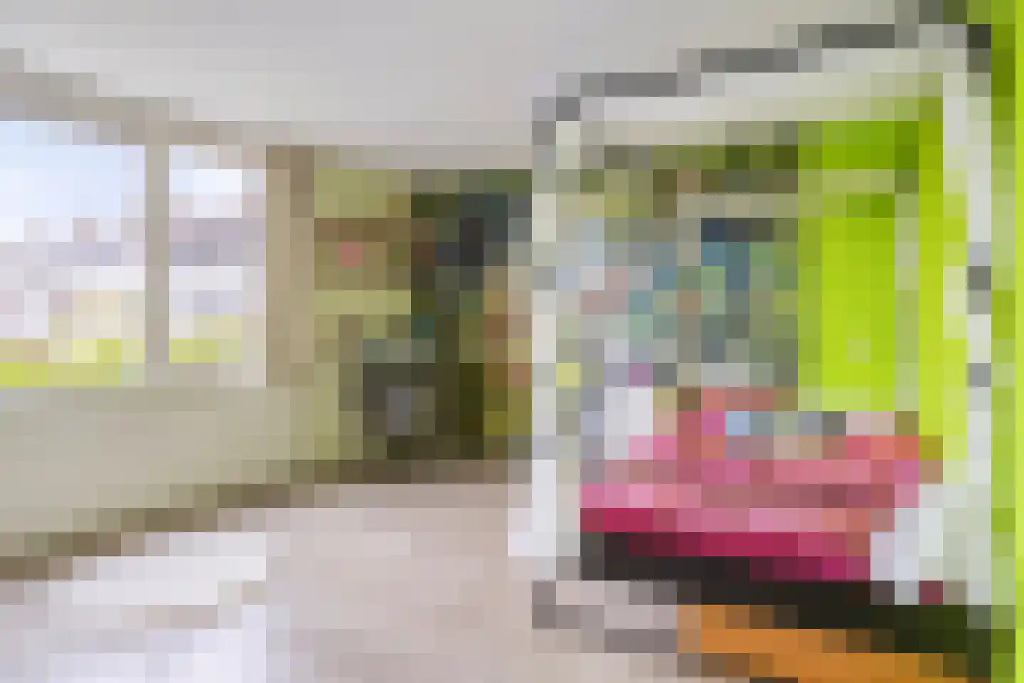 Ilpenstein 28 Landsmeer thumbnail 21