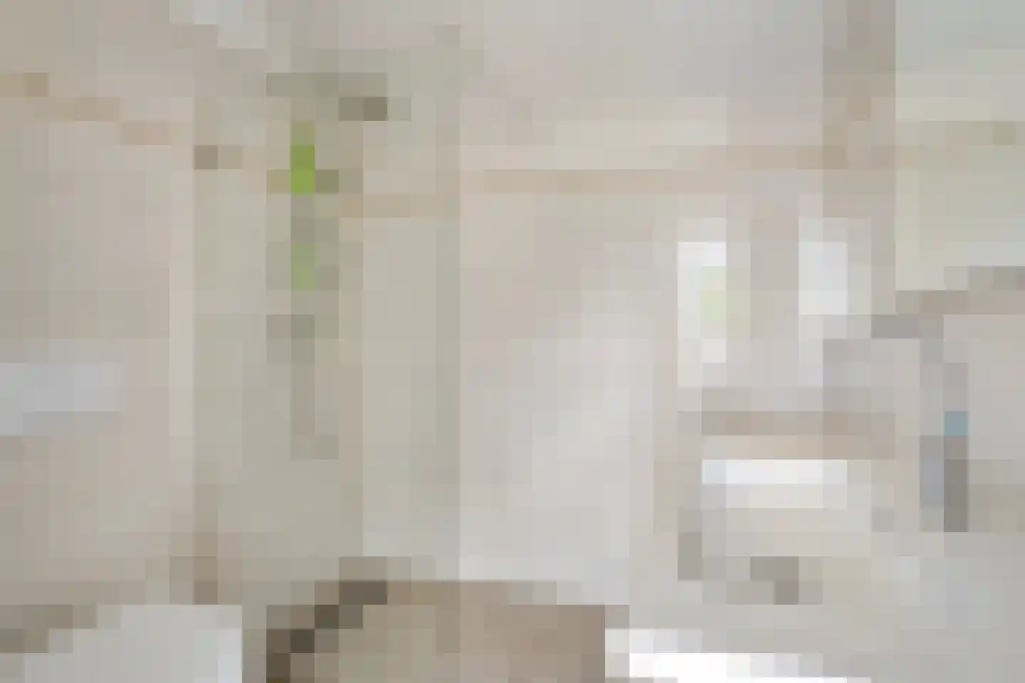Ilpenstein 28 Landsmeer thumbnail 30