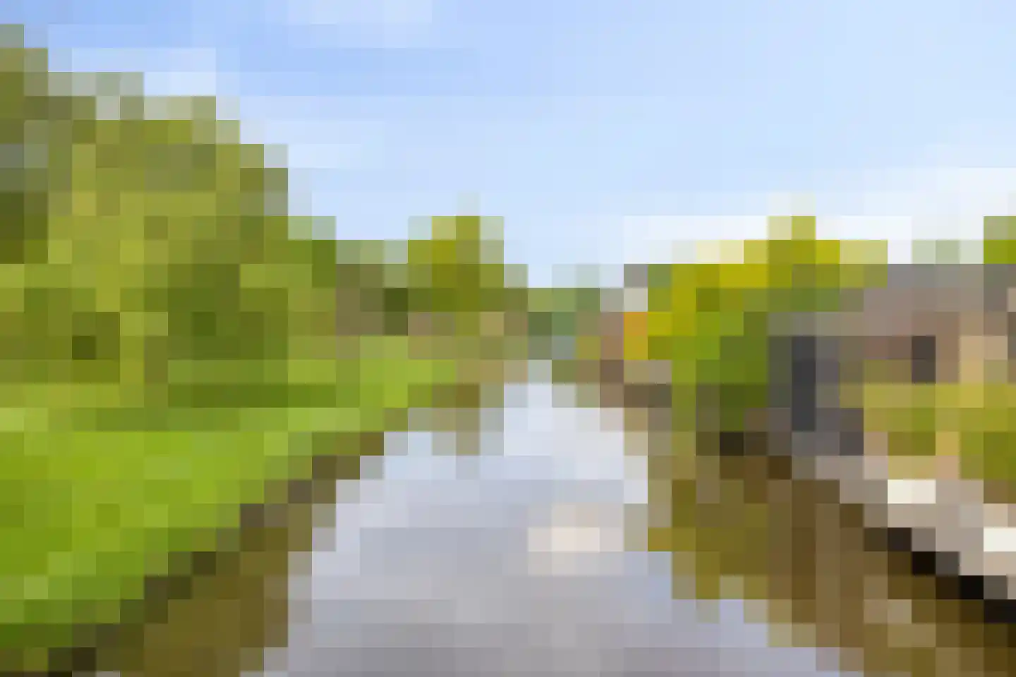 Ilpenstein 28 Landsmeer thumbnail 36