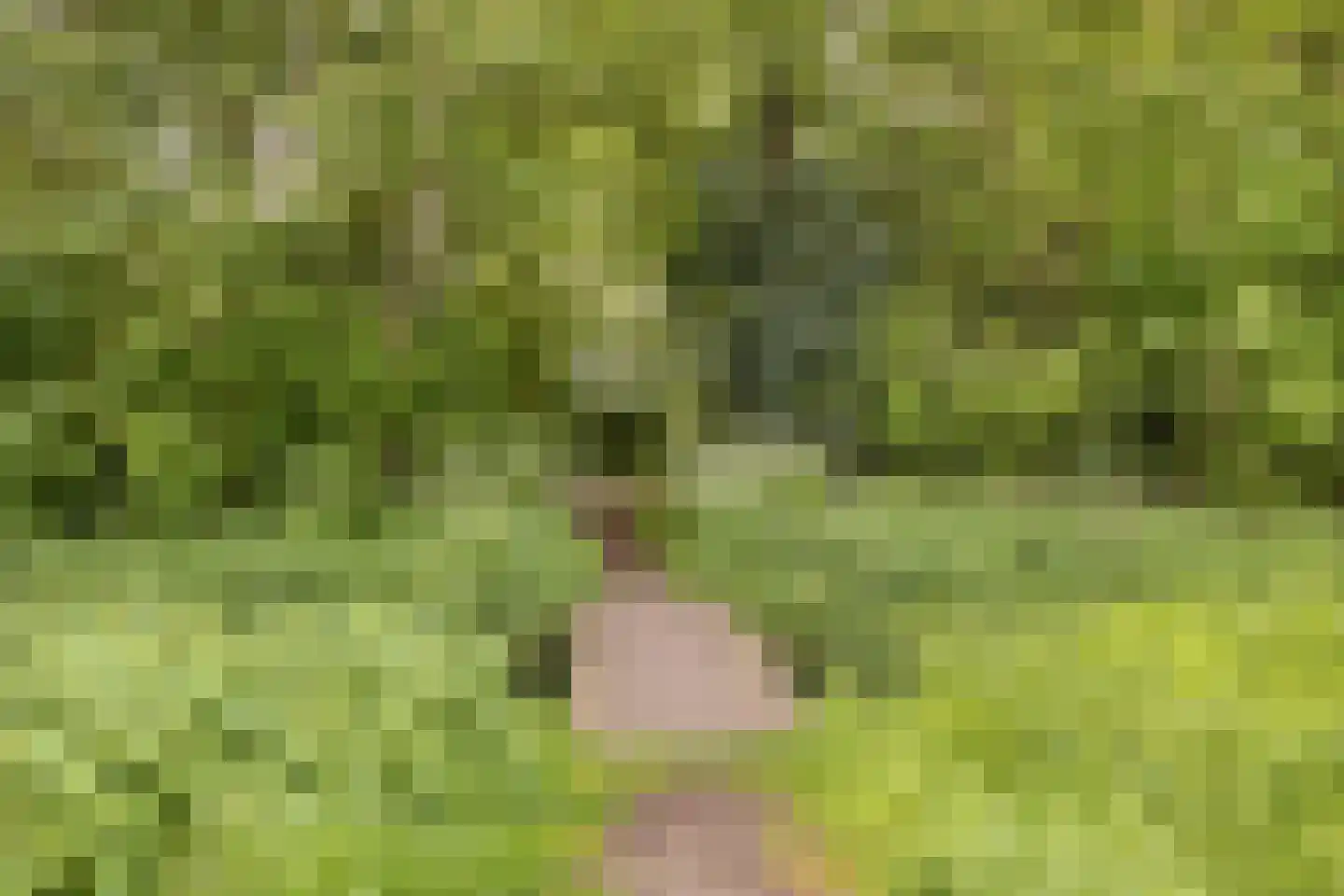 Ilpenstein 28 Landsmeer thumbnail 37