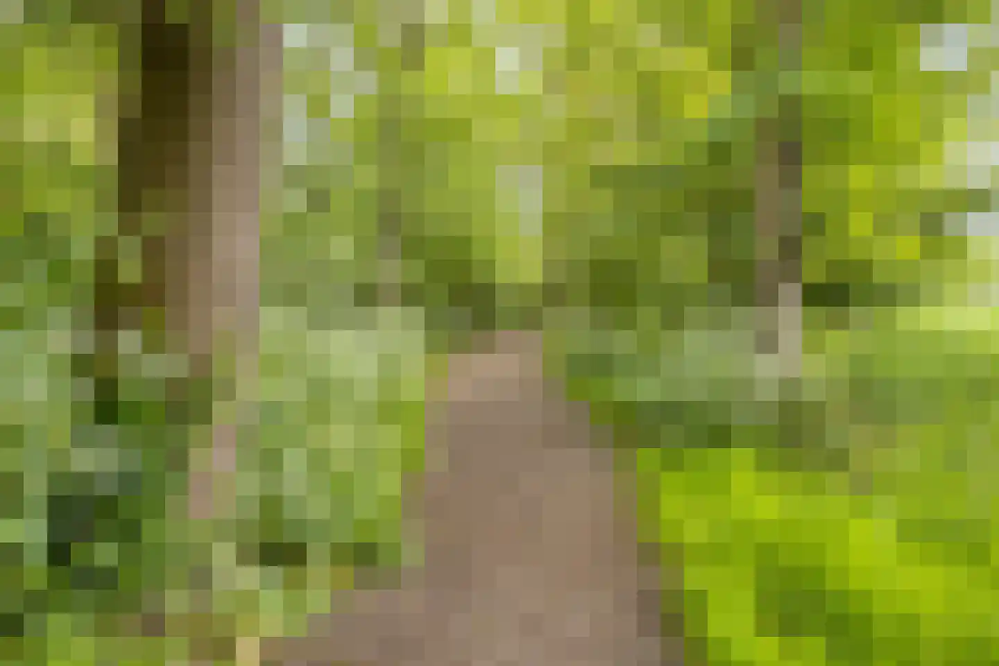 Ilpenstein 28 Landsmeer thumbnail 38
