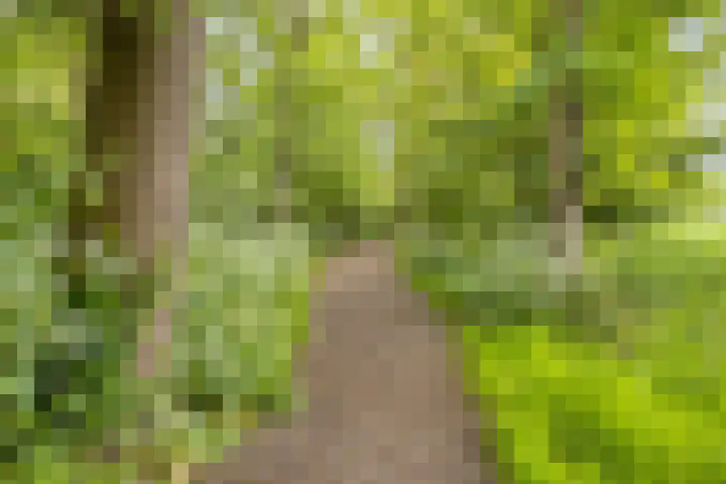Ilpenstein 28 Landsmeer thumbnail 38