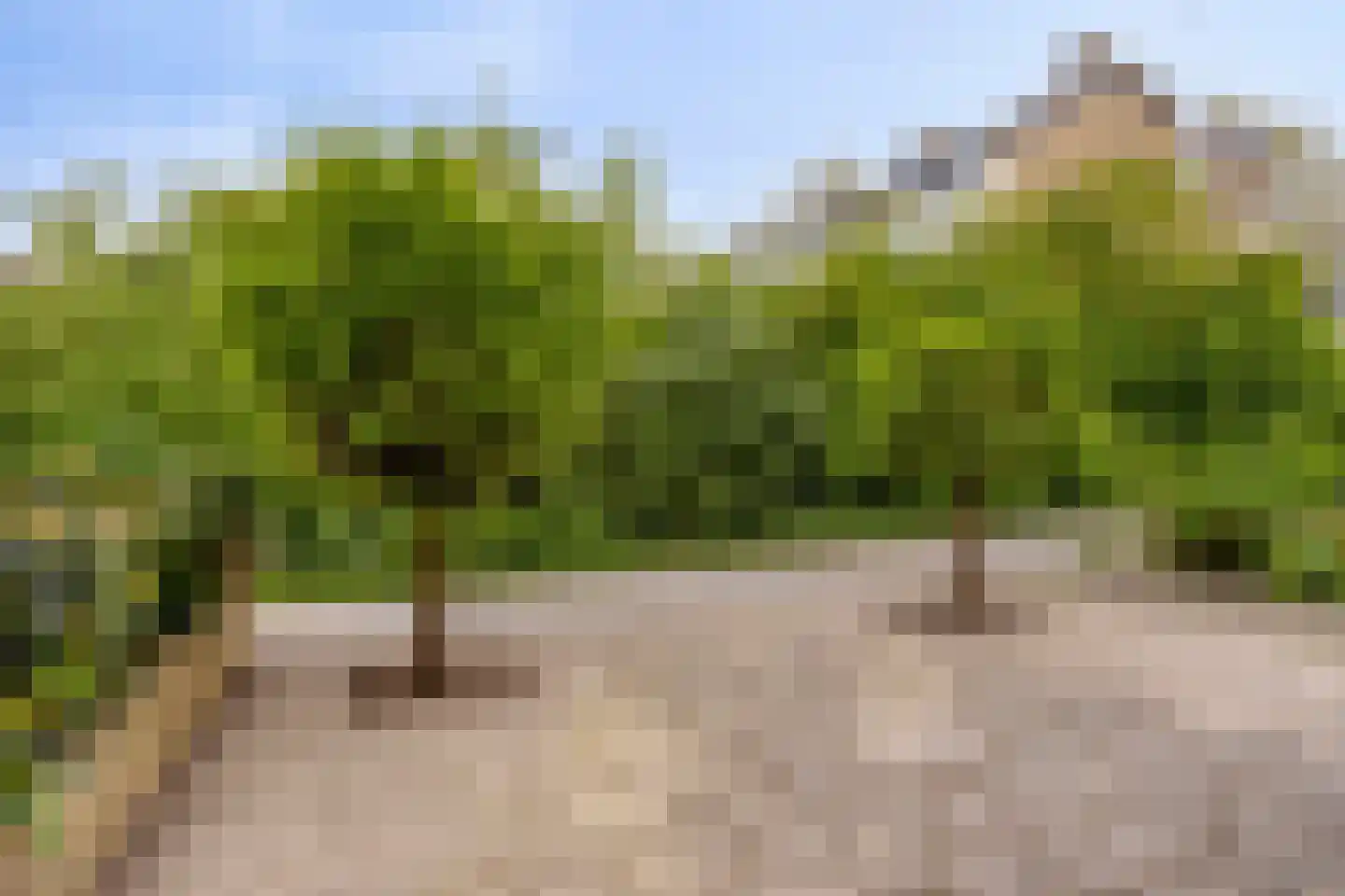 Ilpenstein 28 Landsmeer thumbnail 7