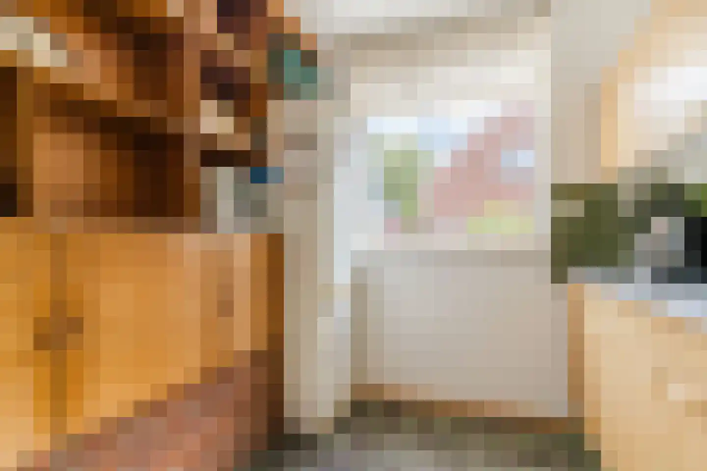 Ilpenwaard 109 Alkmaar thumbnail 13