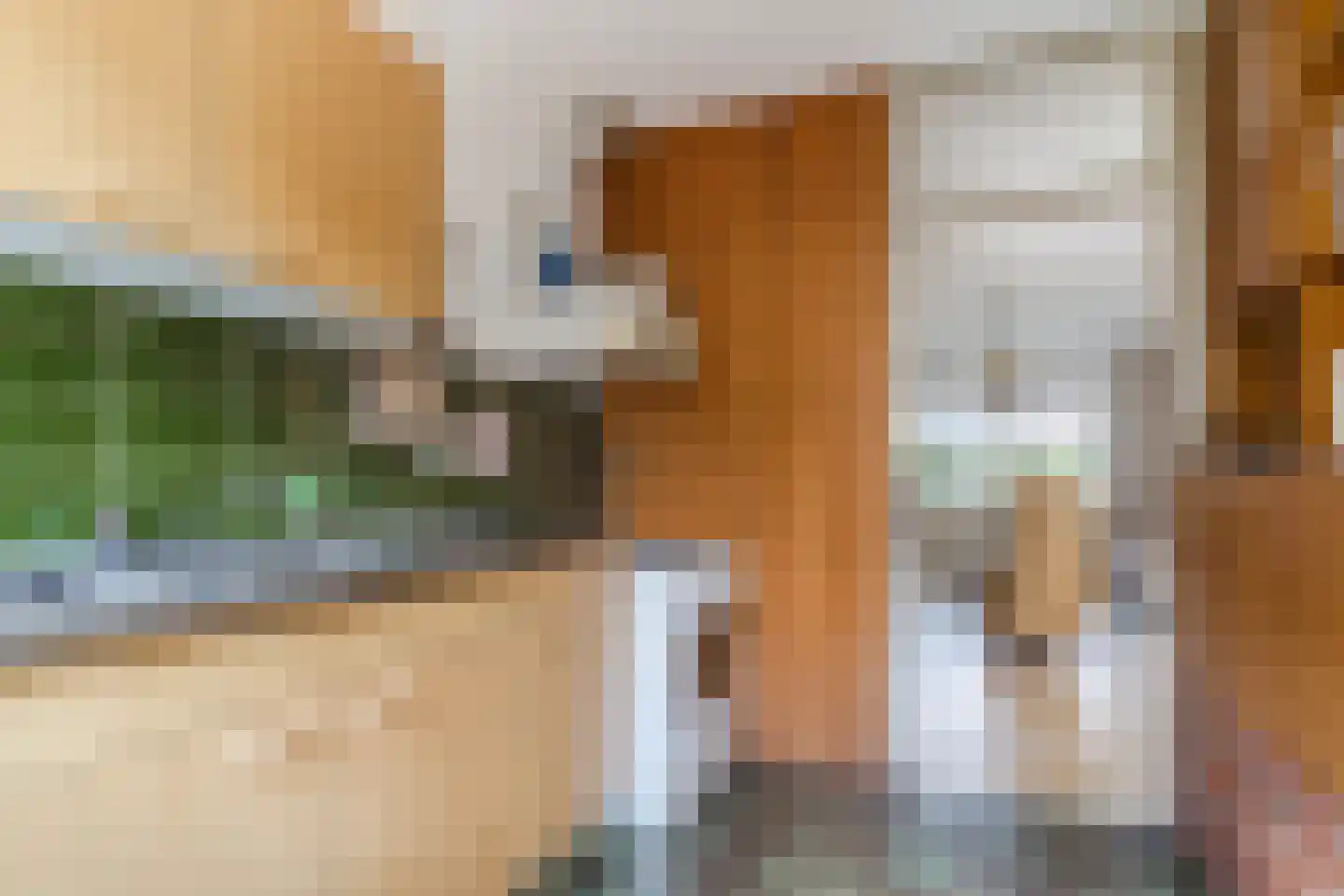 Ilpenwaard 109 Alkmaar thumbnail 14