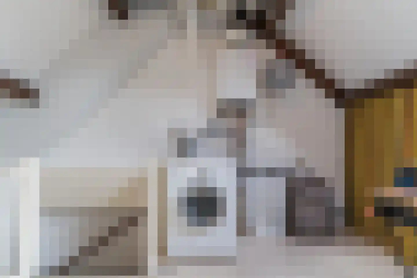 Ilpenwaard 109 Alkmaar thumbnail 38