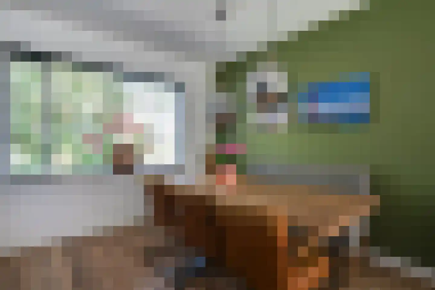 Ilpenwaard 111 Alkmaar thumbnail 12
